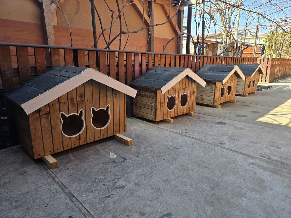 Cotete/cușcă! Câine