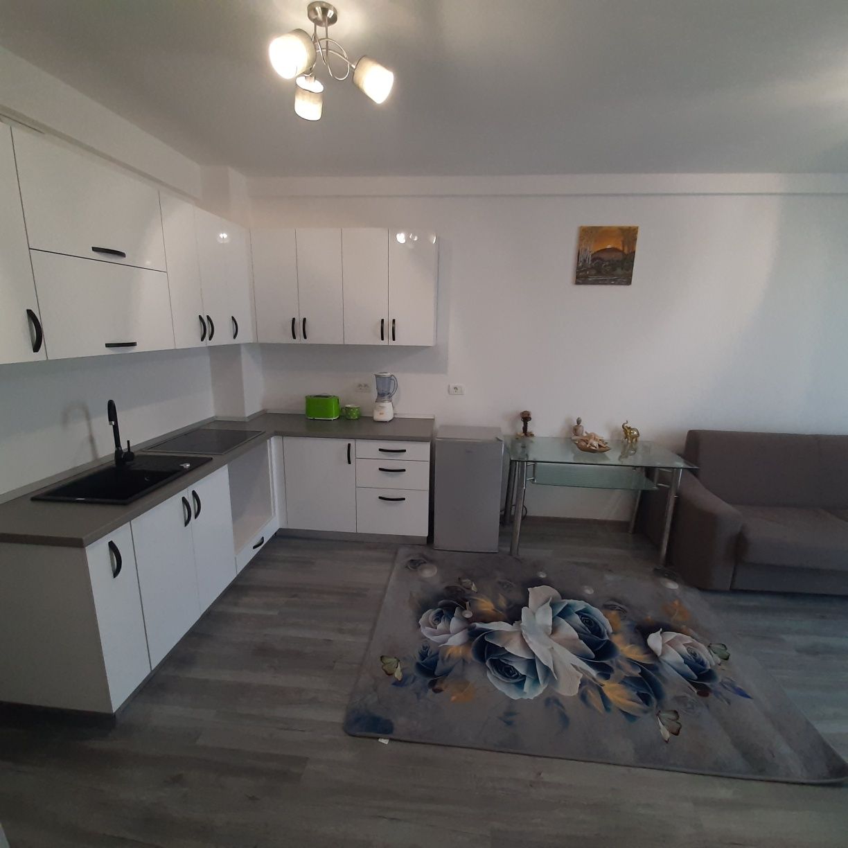 Închiriez apartament regim hotelier Băile Felix