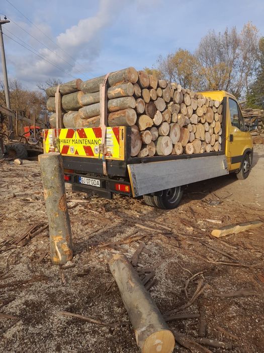 lemn foc fag sau stejar