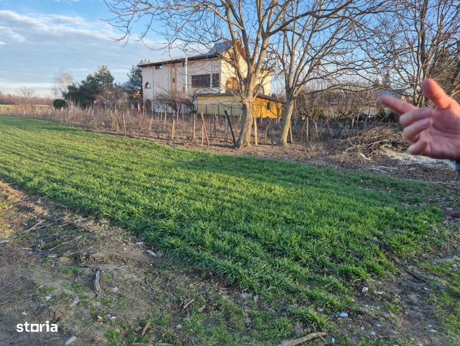 Vand teren in Tandava cu deschidere la PADURE (Gradinari, Giurgiu)