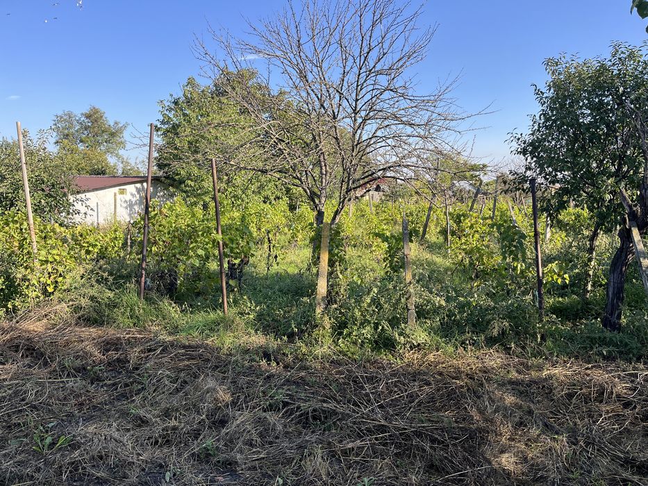 Vand casa batraneasca