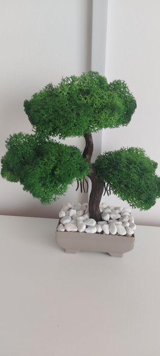 Bonsai din licheni