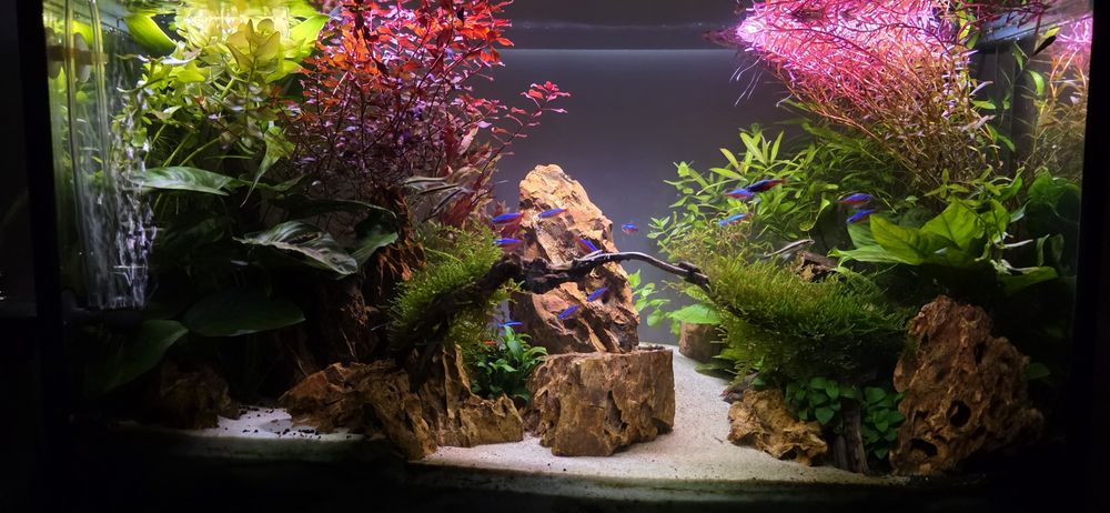 Aквариум AQUAL 83 L