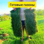 Немецкие Рулоновые Газоны в ташкенте и также ландшафтный дизайн