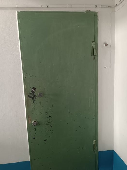 входная дверь. Состояние хорошее.