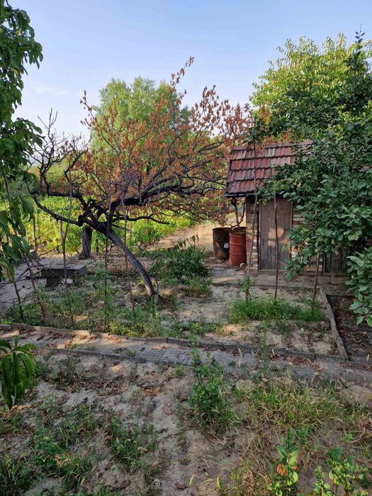 Продава се Парцел в Свищов - 975 кв.м за 9 €/кв.м - Снимка #2