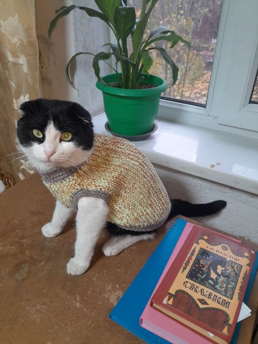 Одежда для собак и кошек