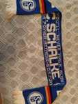 Шал на SCHALKE 04
