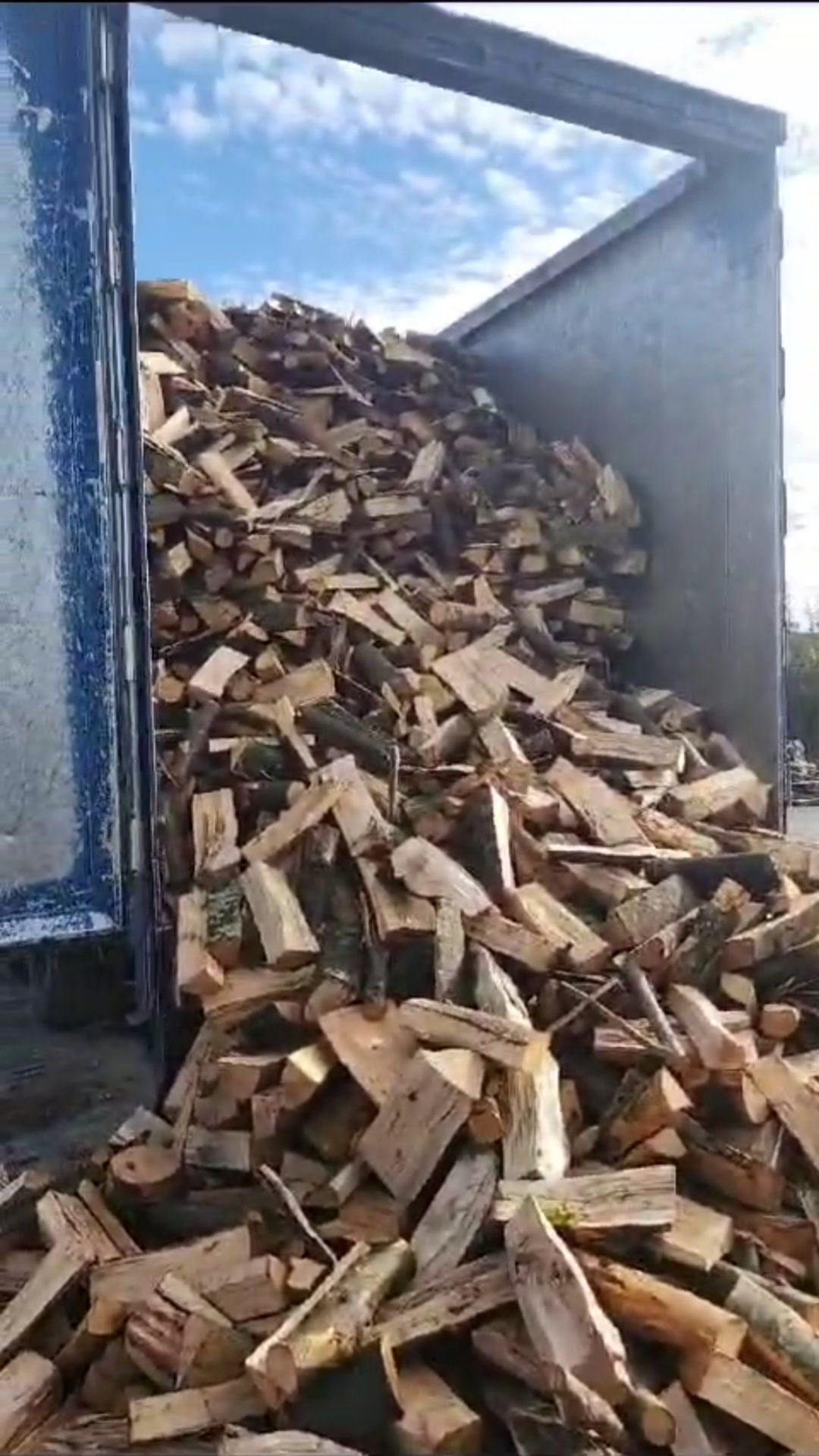 Vând lemne de foc de fag uscat