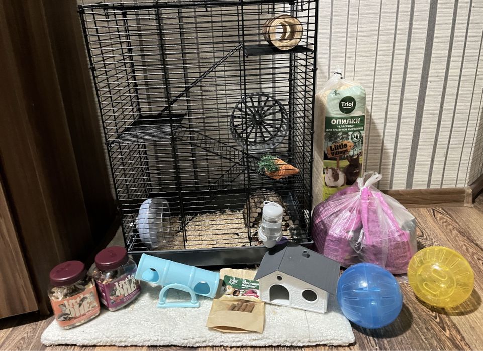 Продам хомяка вместе с клеткой кормом и т.д