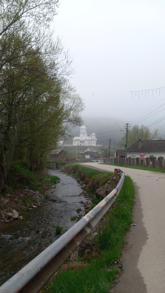 Cositor/ crăpător de lemne