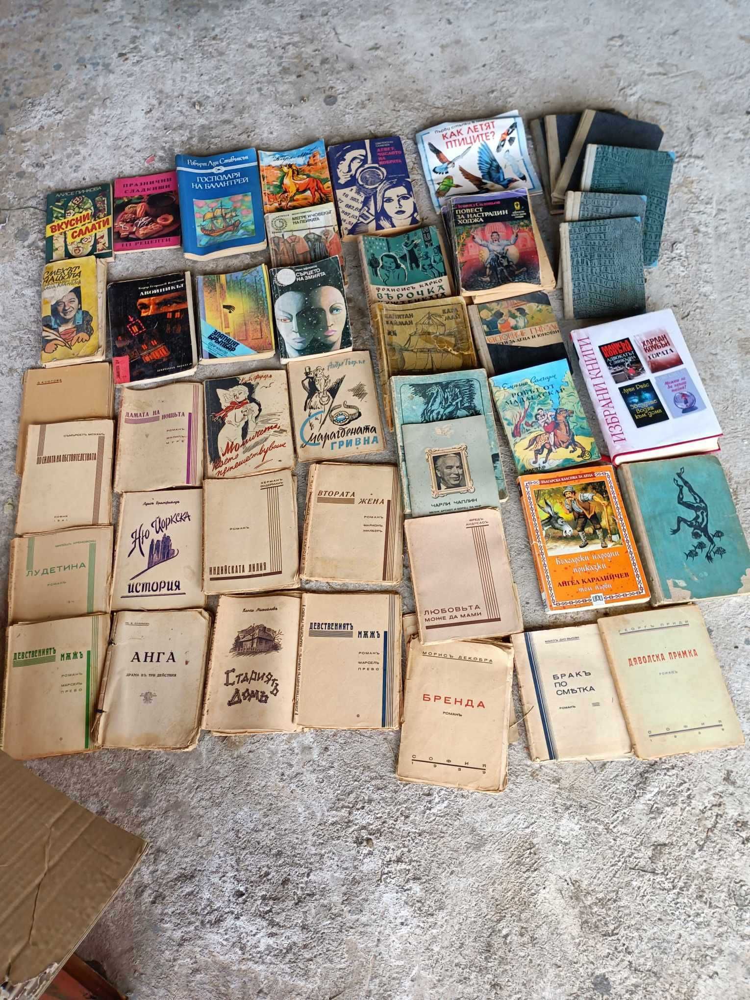 Запазени книги, романи