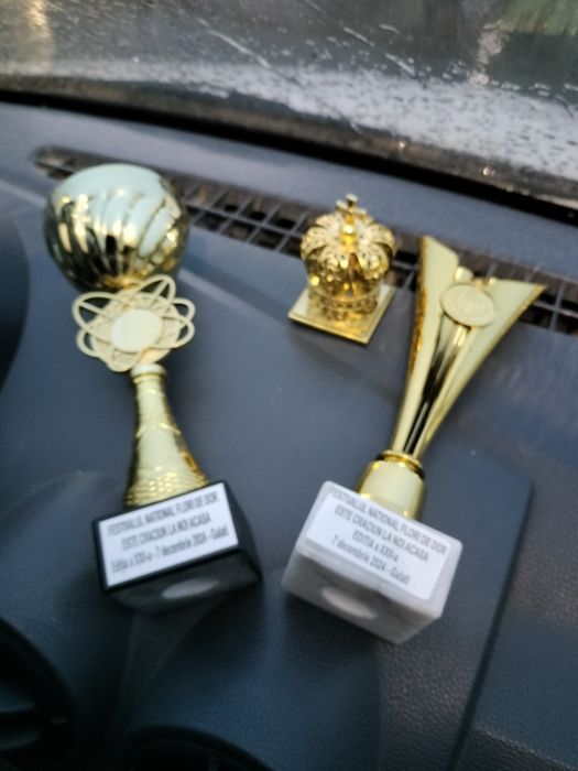 Lecții de muzica,pregătire pentru admitere la licee și facultate