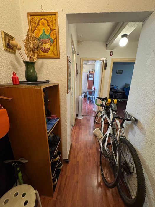 Apartament 2 camere, Favorit