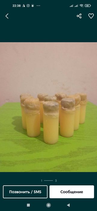 Ari suti asal ari suti