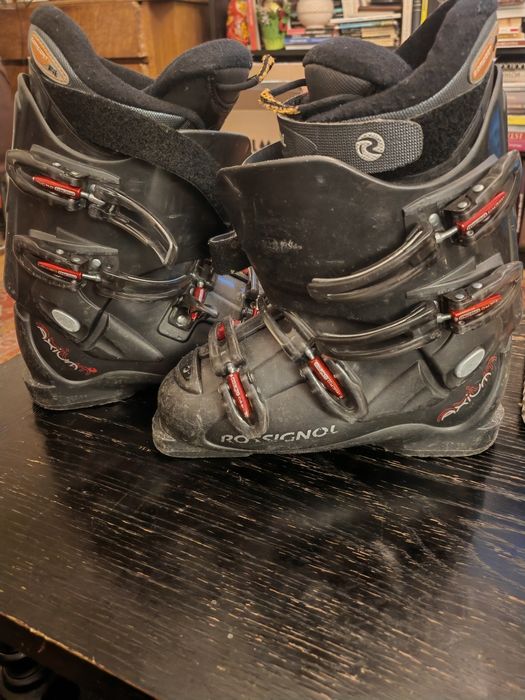 Clăpari femei sau copii Dalbello și Rossignol 38 38,5