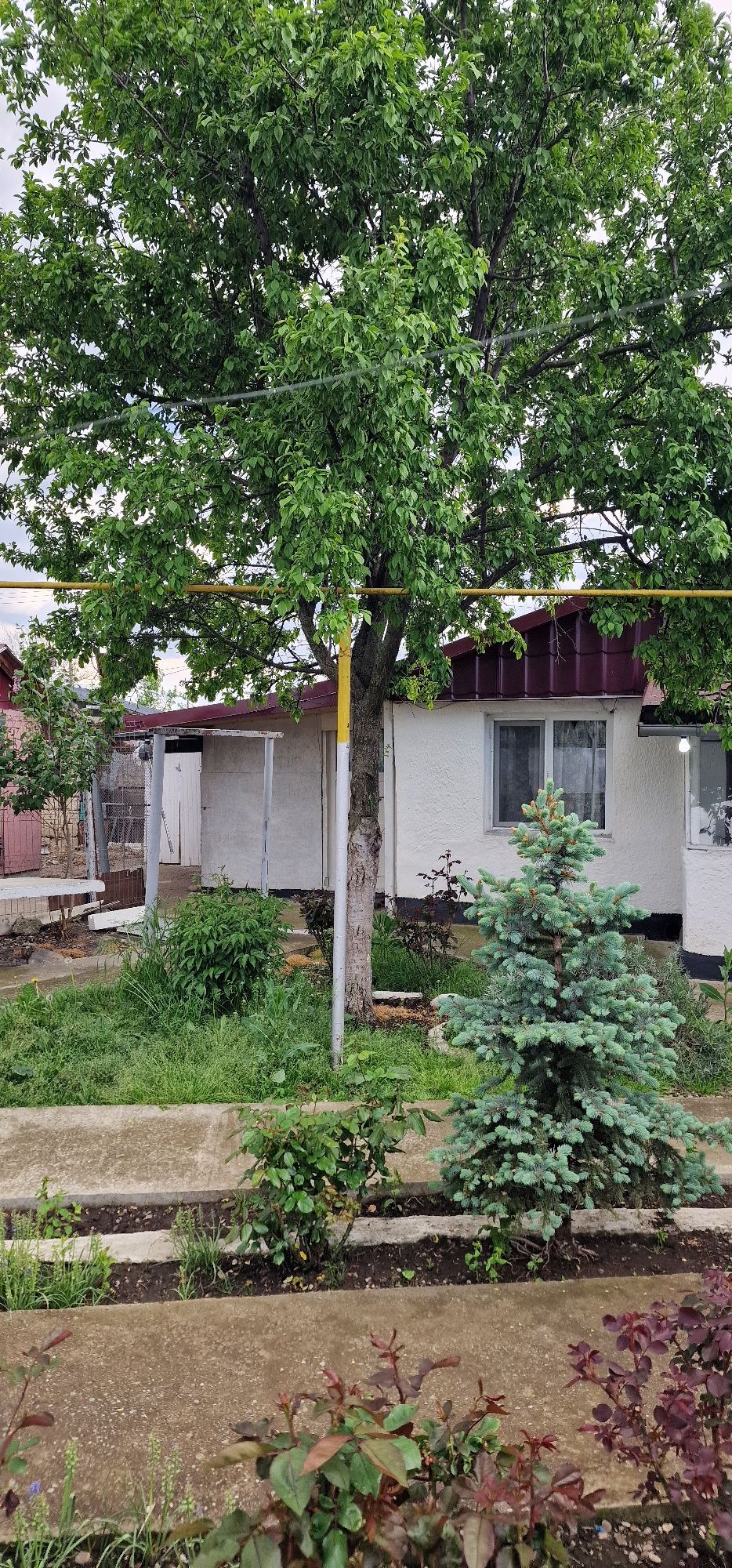 Casa de vanzare valea prahovei