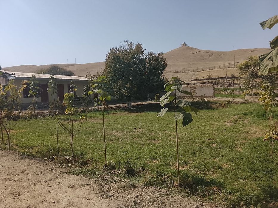 ЗОМИН яқинида  дала  ховли