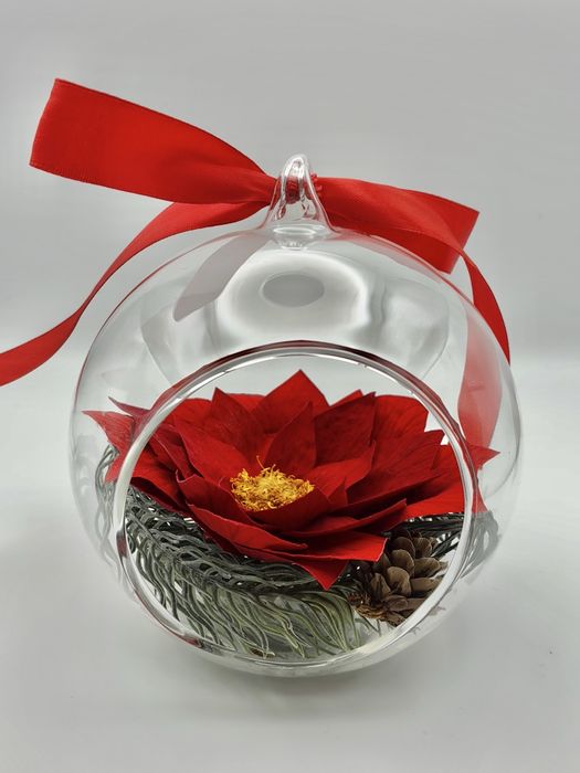 Craciunita criogenata