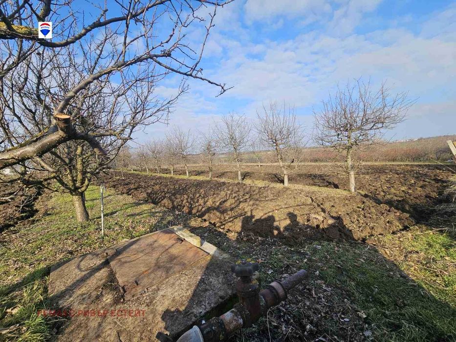 Продава се Парцел в с. Борисово, Област Русе - 1969 кв.м за 7 €/кв.м - Снимка #6