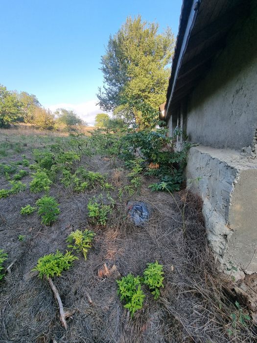 Продавам къща в с.Засмяно 70 000 евро