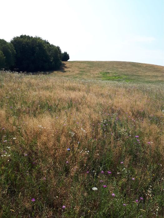 Vand teren comuna Halmășd, cătunul Fufez