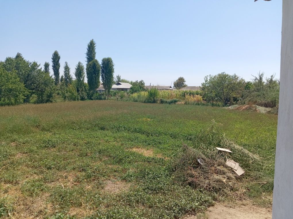 Srochna Yer Sotiladi: 12 sotix yer, Sirdayo vil. Guliston t. Zarbdor M