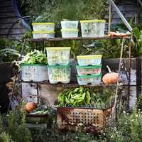 Кутии за съхранение на плодове и зеленчуци