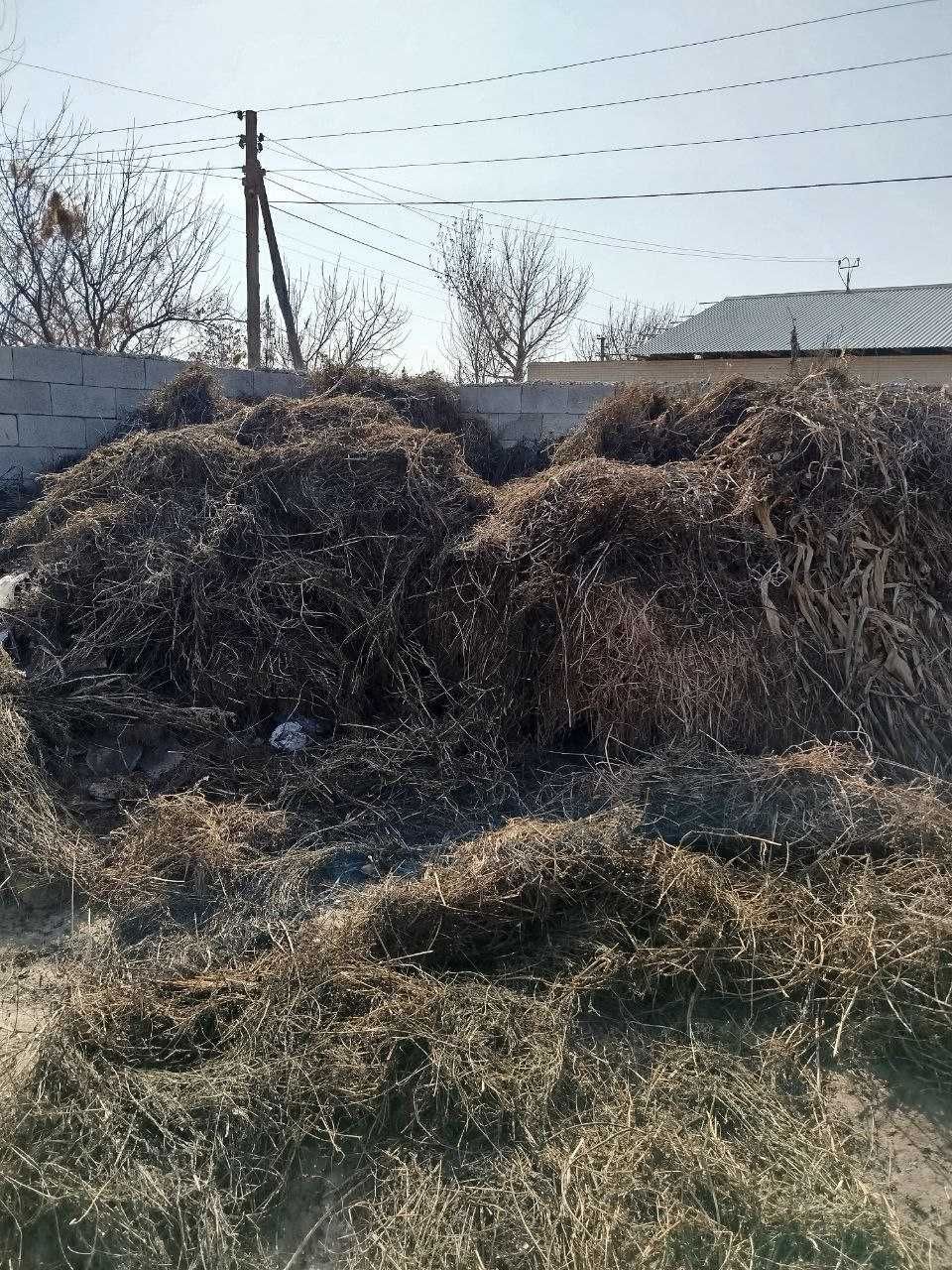Беда ути сотилади