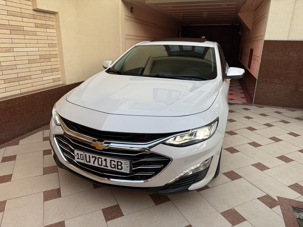 Malibu Premier - Pearl White