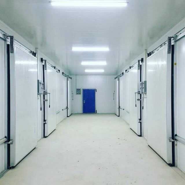 Muzlatkich xonalar uchun eshiklar by