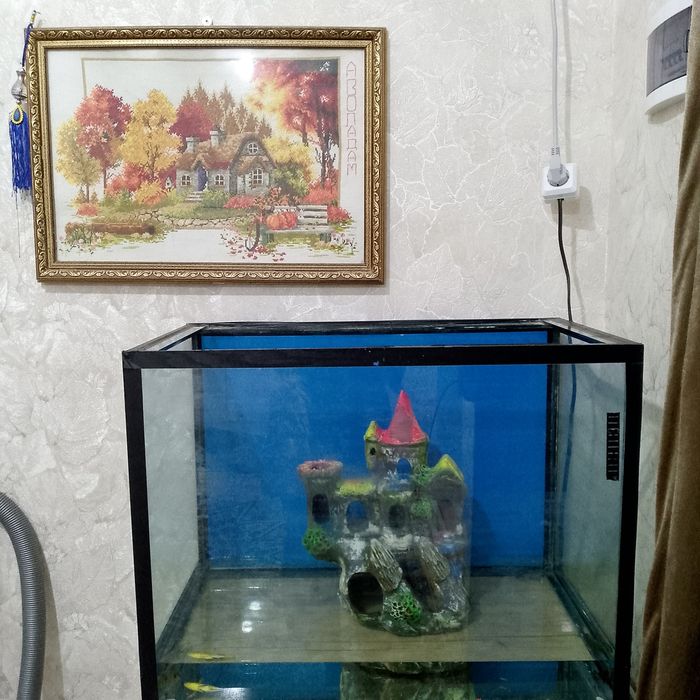 Катта аквариум сотилади срочно.