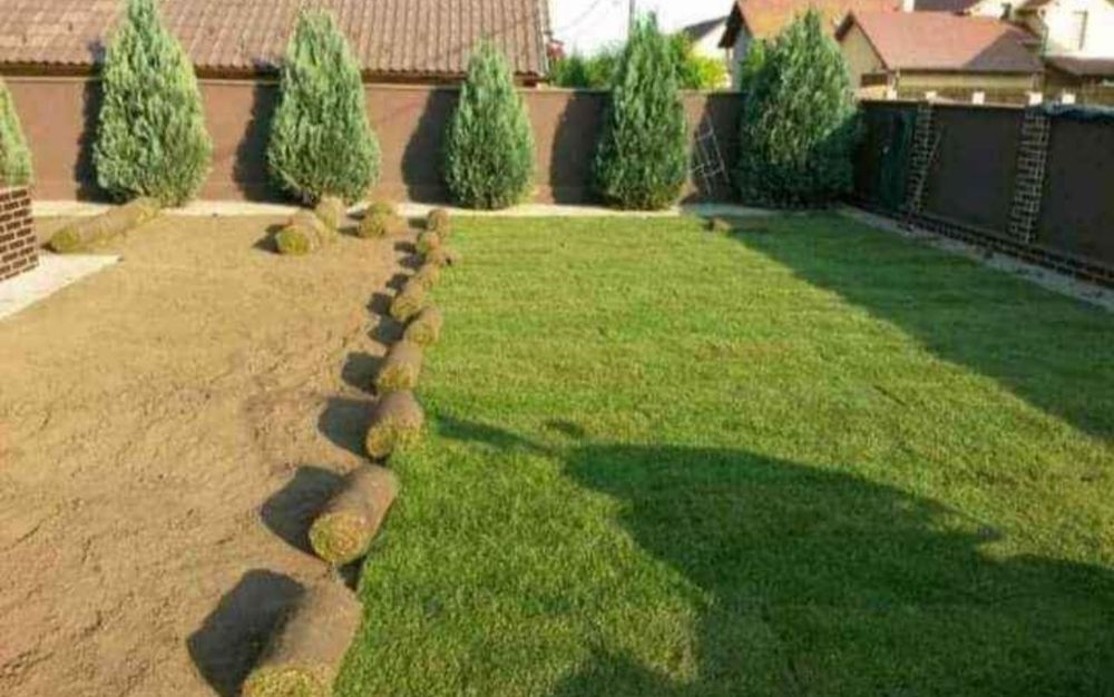 Gazon rulou Sport, Amnajam spații verzi, gazon etc