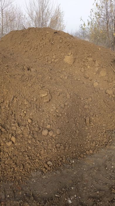 Pamant flori,gazon,agregate,sapaturi