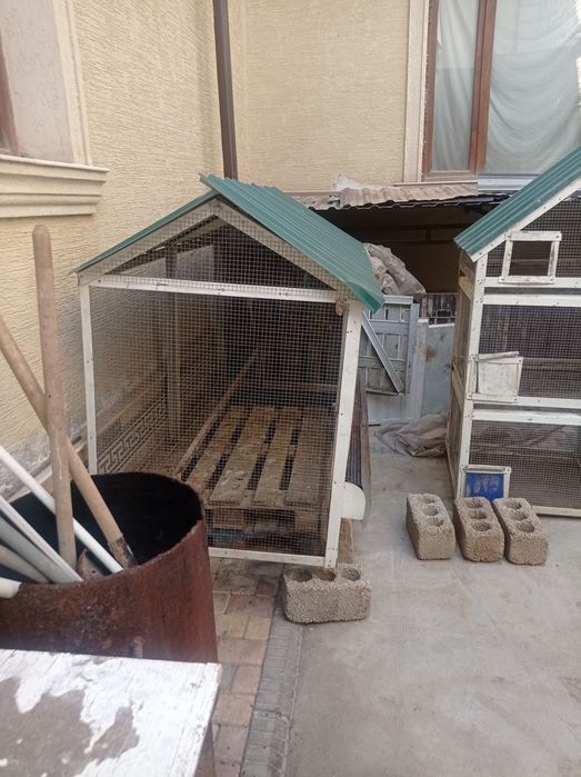 Tovuq hamda qush qafaslari