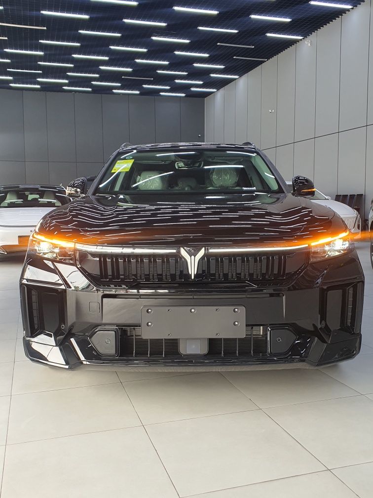 Voyah Free 318km. 2024 apollo tech.