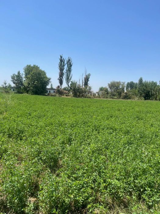 Продаётся 2 участка в одном месте!