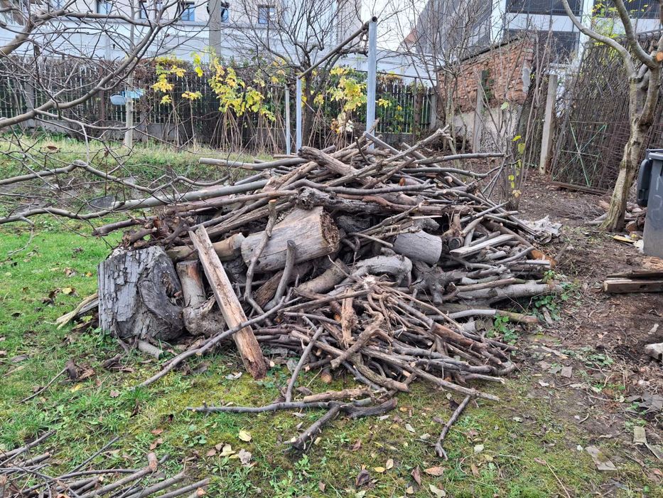 3 grămezi de lemne uscate