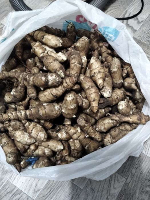 Продукты питания