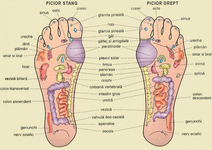 Masaj chiar si la tine acasă cu Mirela si Ady - Terapie pentru trup si