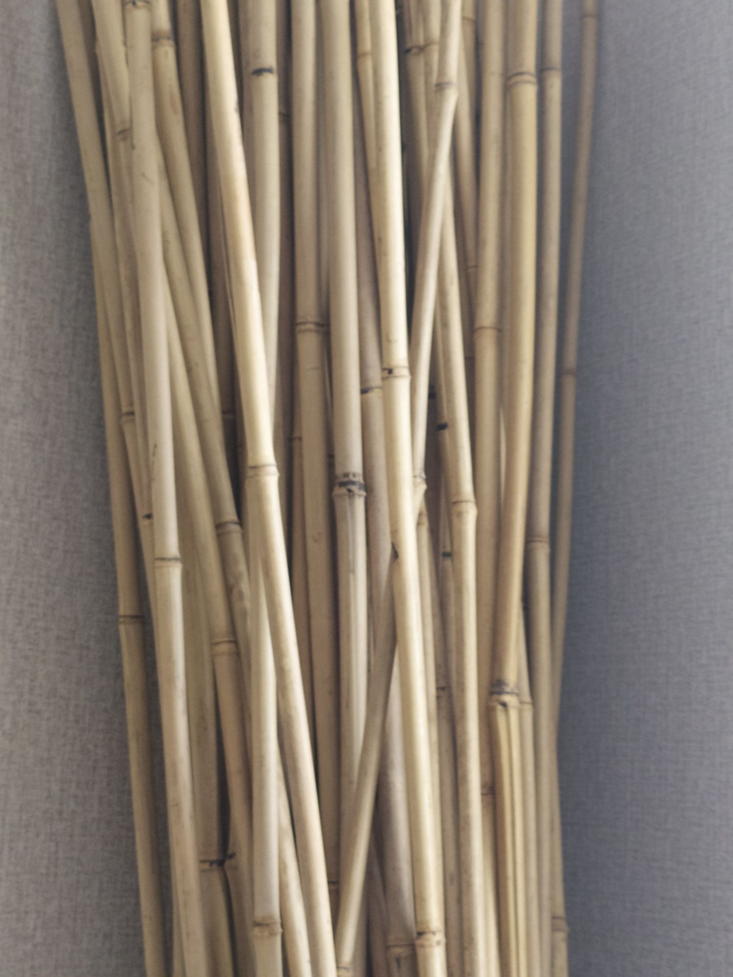 Продам бамбук (сухой)
