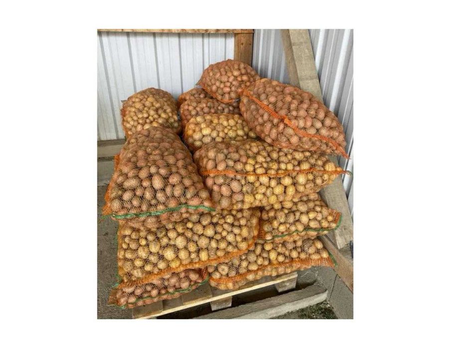 Vand cartofi consum si pentru animale