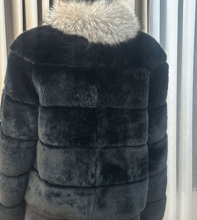 Blana din chinchilla