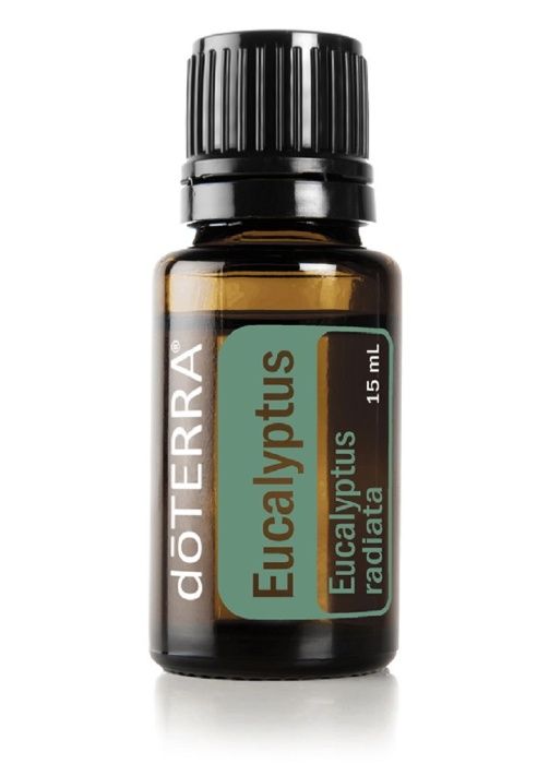 Eucalyptus Ulei esential de eucalipt doTERRA