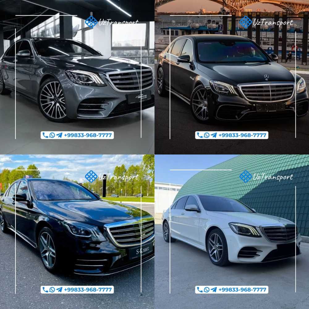 Персональные экскурсии с гидом и машиной Сопровождение авто с водителе