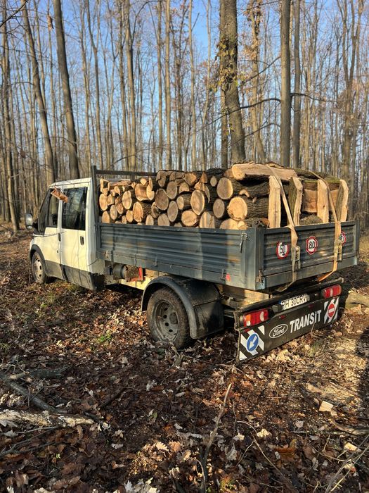 Lemne de foc esenta tare