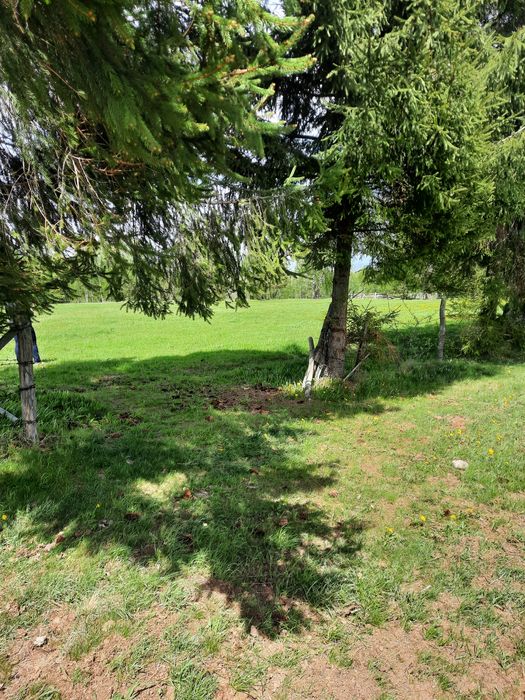 Vand teren extravilan Dealu Negru