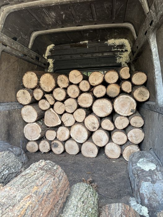 Vând lemne de foc esență tare