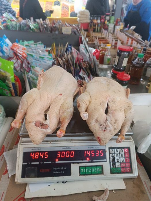 Мясо утки оптом и в розницу .
