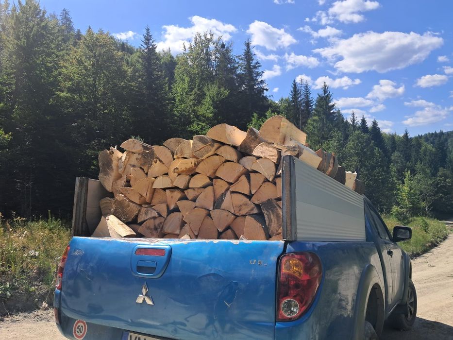 Lemne esență tare fag